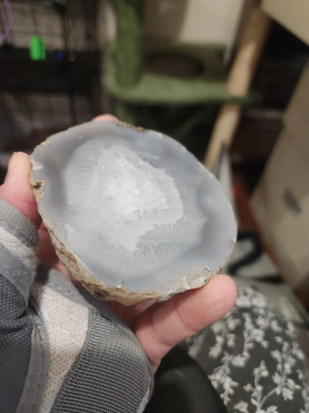 Natural Gray Chalcedony Decorative Half - Known as a Thunder Egg
